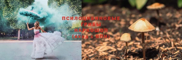 индика Абинск