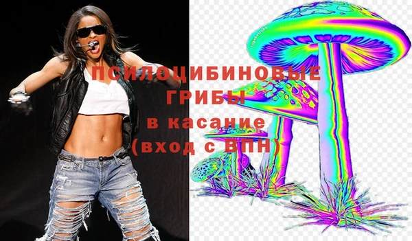 индика Абинск