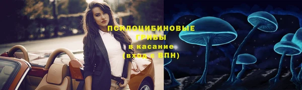 не бодяженный Алексин