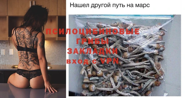a pvp Абаза