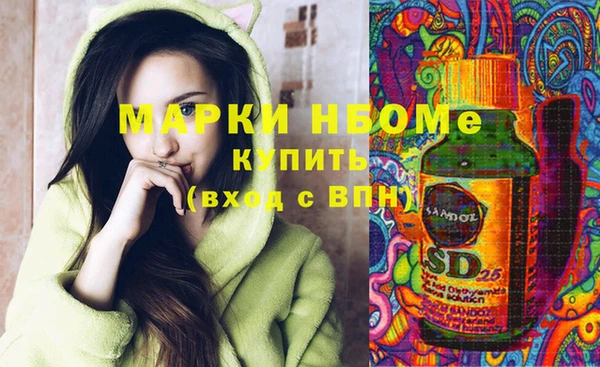 индика Абинск