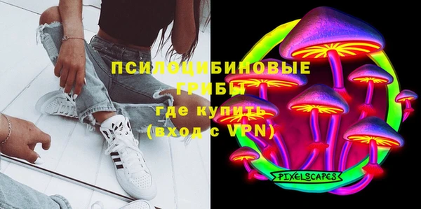 a pvp Абаза