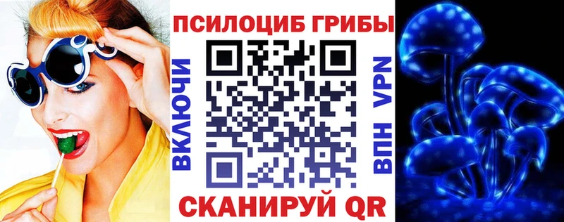 Псилоцибиновые грибы ЛСД Богданович